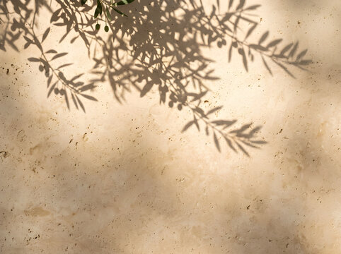 Olive tree branch shadow on beige stone wall, Mediterranean sun dappled texture, rustic plaster background for product mockup