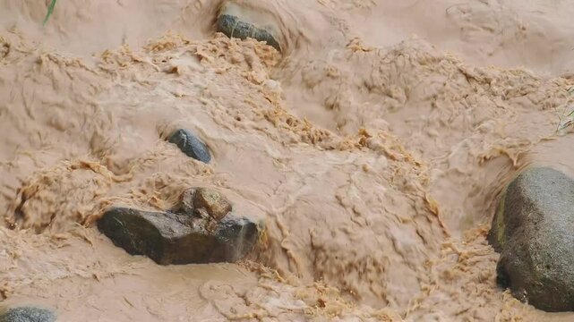Natural hazards during the rainy season river surges and mudslides rapidly flowing, muddy brown water rushes past dark, scattered rocks weeds and trees within the stream or river.