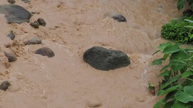 Natural hazards during the rainy season river surges and mudslides rapidly flowing, muddy brown water rushes past dark, scattered rocks weeds and trees within the stream or river.