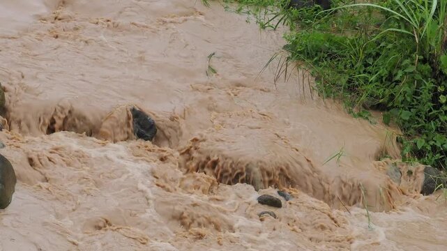 Natural hazards during the rainy season river surges and mudslides rapidly flowing, muddy brown water rushes past dark, scattered rocks weeds and trees within the stream or river.