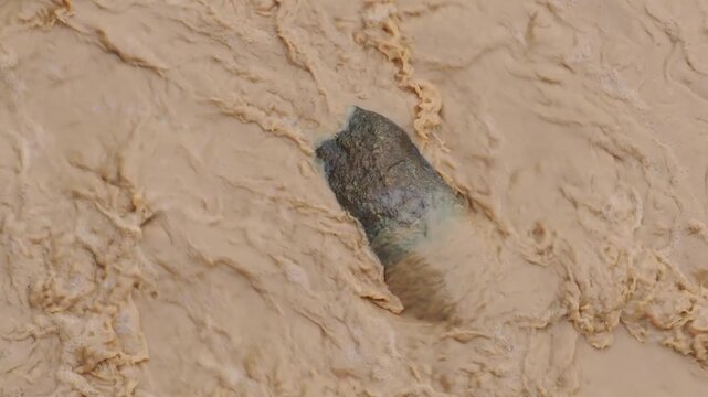 Natural hazards during the rainy season river surges and mudslides rapidly flowing, muddy brown water rushes past dark, scattered rocks weeds and trees within the stream or river.