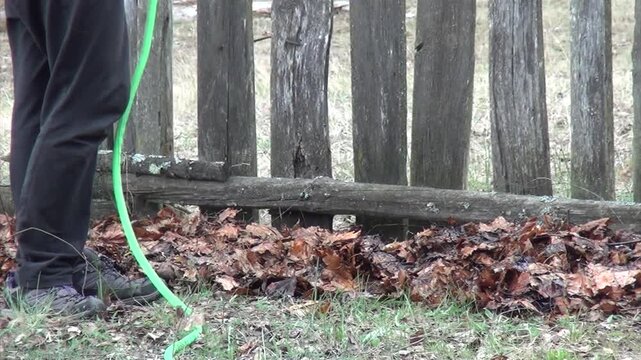 No-dig garden bed preparation. Man watering compost made of autumn leaves lying on cardboard. Close-up