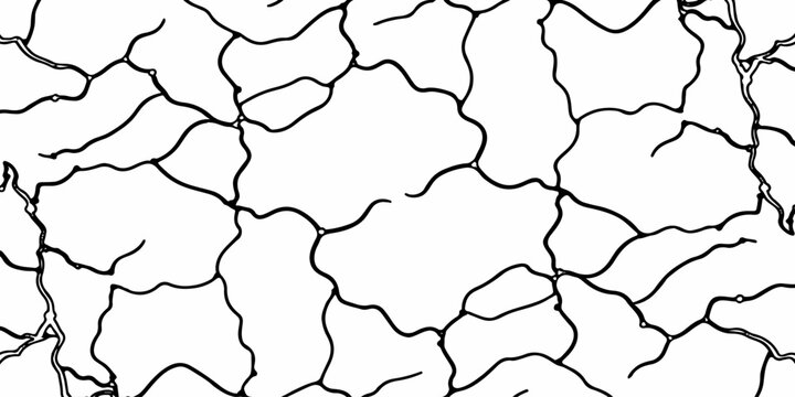 Minimal White Cracked Surface Texture with Organic Black Lines for Elegant Marble Background Design