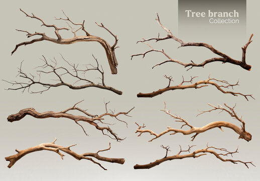 Natural Tree Branch Element Design Set