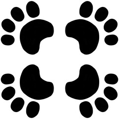 animal paw prints bear © Basternal