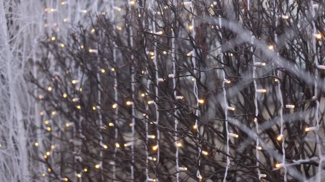 adorned with scattered warm golden bokeh lights resembling twinkling fairy lights woven through the trees, right side shows sharp branch detail with visible warm light bulbs