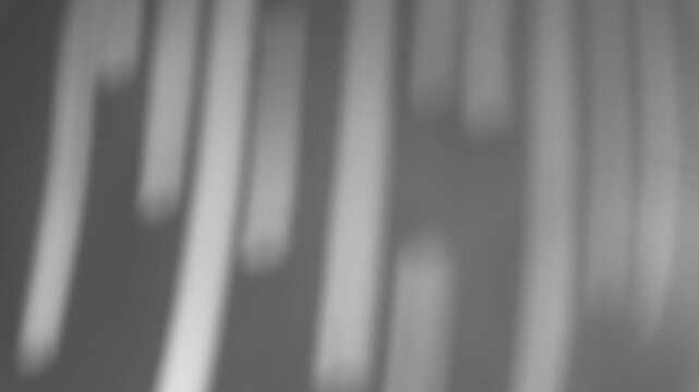 Abstract window blinds shadow on light grey wall background, vertical stripe gobo shadow overlay concept