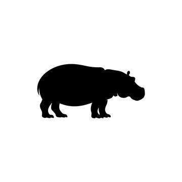 rhino vector illustration