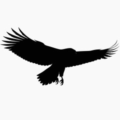 Obraz premium Eagle silhouette vector, soaring hawk bird of prey icon, black flying falcon graphic for logo design and wildlife branding