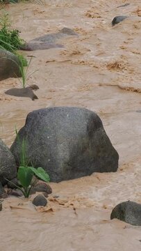 Natural hazards during the rainy season river surges and mudslides rapidly flowing muddy brown water rushes past dark scattered rocks weeds and trees within the stream or river.