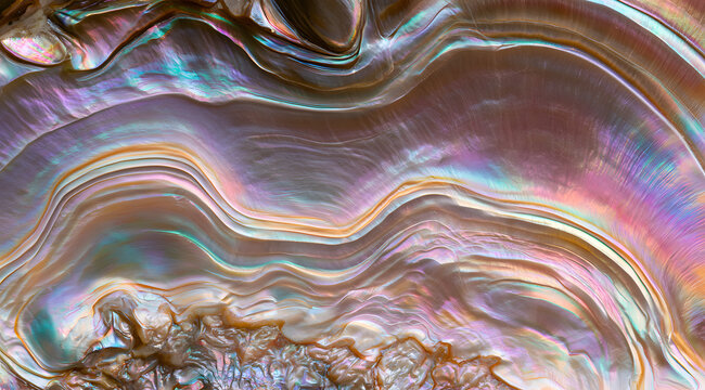 Examining the shell's interior in a macro view reveals iridescent colors. The natural, wavy, organic pattern forms a stunning backdrop for themes of luxury and beauty.