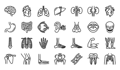 Fototapeta premium Human Organs and Anatomy Line Icon Set Featuring Internal Organs Bones Muscles Joints and Body Structures for Medical Education Healthcare Websites and Apps