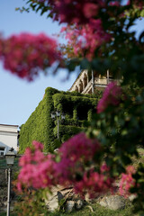 Fototapeta premium Ivy covered building with ornate Georgian balcony