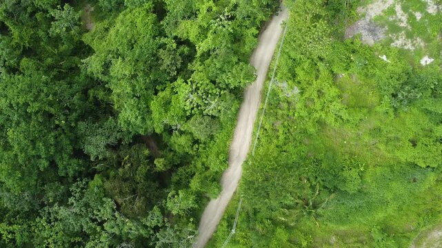 Top down aerial view of a dirt road through the jungle