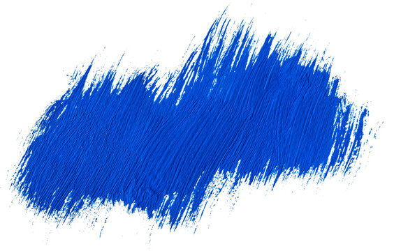 Diagonal vibrant cobalt blue thick acrylic paint brush stroke with bristly edges isolated on transparent background