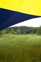 View of a green meadow from under a blue and yellow tent © Cavan