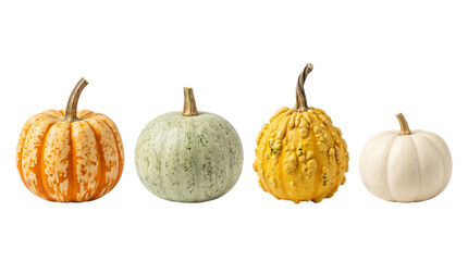 Fototapeta premium four assorted colorful pumpkins isolated on transparent background png
