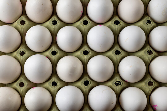 White eggs arranged in a cardboard carton