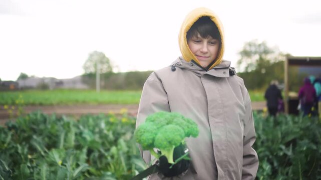 A dedicated farmer and expert cultivator inspects green plants in a field. Focused on professional care, the agricultural worker monitors crops with diligence.