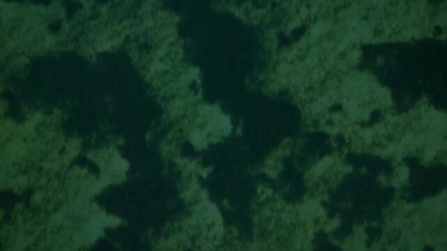 Aerial Dolly In View Shallow Water Seabed Algae Texture Etang de Thau France