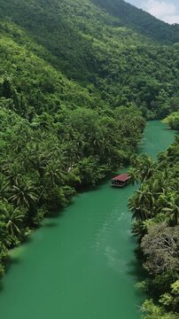 Vertical drone pulls back and ascends over Loboc River as cruise boats travel upstream between palm-lined forested hills in Bohol