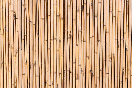 Texture di canne  - Dettaglio