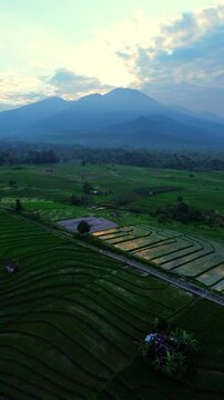 the beauty of the foggy morning panorama with sunrise and rice fields in Bengkulu, indonesia, asia