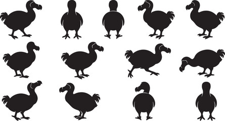 Vector illustration set of extinct dodo bird silhouettes isolated on white background for educational biology diagrams and history logo design. © amodha