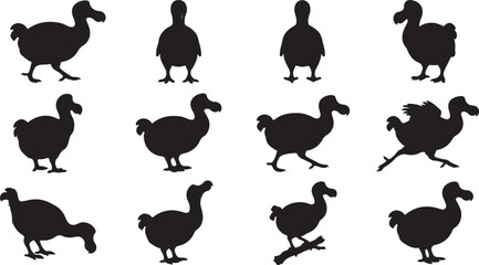 Extinct dodo bird silhouette collection featuring flightless birds in standing, walking, foraging, front-facing, and rear-view perspectives. © amodha