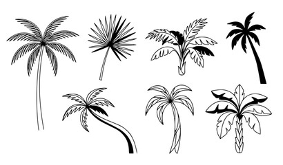 Fototapeta premium Minimal Hand Drawn Tropical Palm Tree Line Art Vector Collection