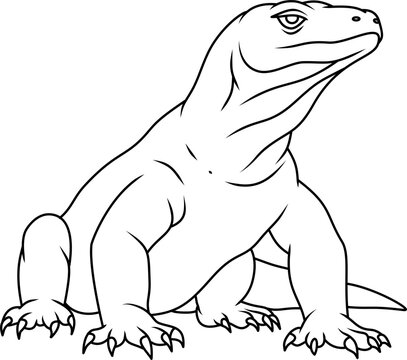Hand drawn komodo dragon outline illustration