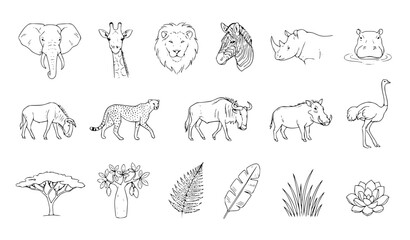 Obraz premium African Safari Wildlife Doodle Vector Set Minimalist Animals Botanical Hand Drawn Line Art