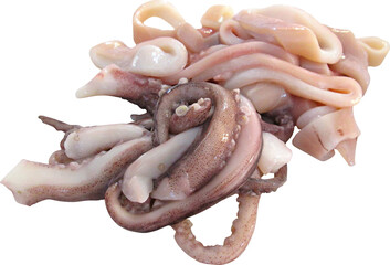 Squid Isolated On Transparent Background © Rina