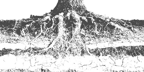 Obraz premium Tree Root System Cross Section, Various Trees with Detailed Roots in Different Soil Layers, Ground Conditions, Underground Botanical Structure and Educational Vector Illustration.