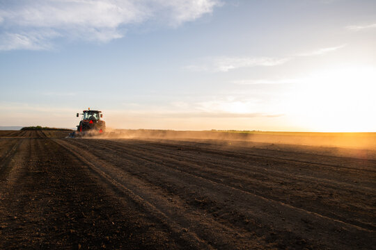 Tractor cultivating agricultural field near ripe corn crop at sunset