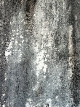 Abstract textured background of dark mold and water stains spread across a white plaster wall surface.