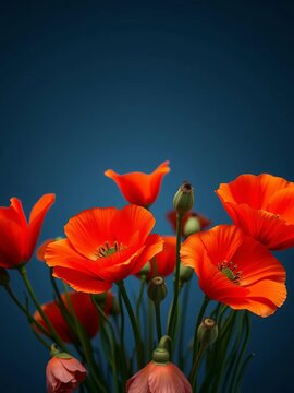 California poppy flowers with stems in a bouquet arrangement, california inspired, yellow flowers