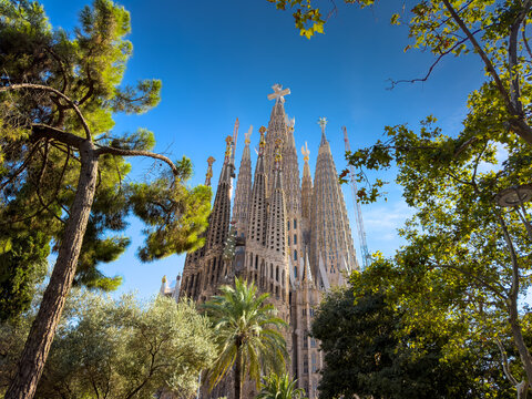 Majestic view of the iconic Sagrada Familia basilica in Barcelona framed by lush green trees under a bright clear blue summer sky with vibrant natural light.