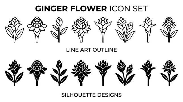 Ginger flower icon set featuring line art outline and silhouette designs
