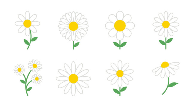Daisy chamomile flower icons collection set