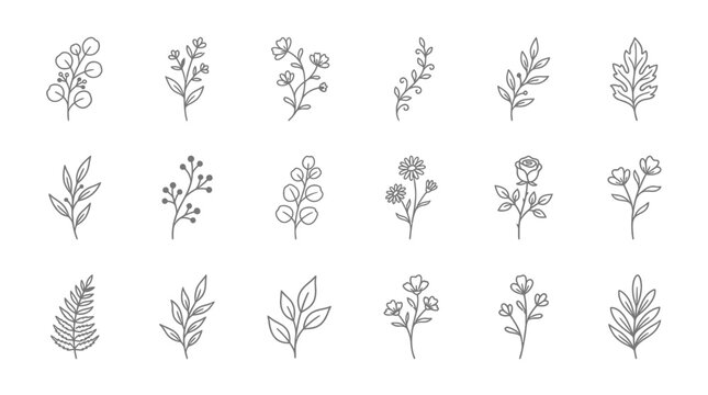 Hand drawn minimalist floral branch and leaf line art icons