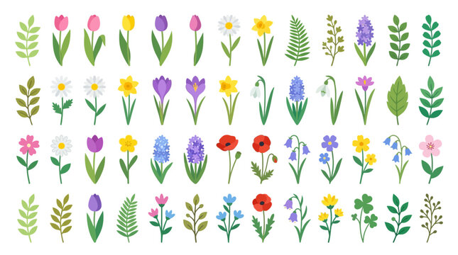 Colorful spring garden flowers and botanical leaves set