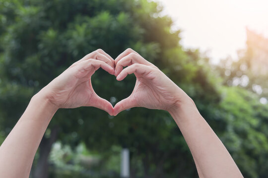 close up man hand make heart shape gesture sign over forest background for save ecology and world concept