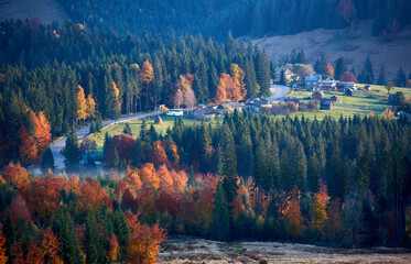 Naklejka premium Village surrounded by dense forest of evergreens and deciduous trees in full autumn colors.