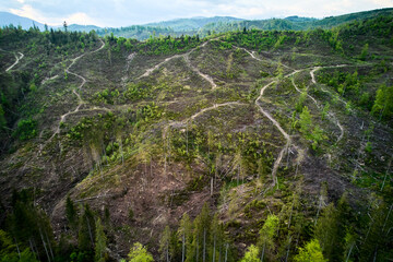 Naklejka premium Aerial view of landscape with forested and deforested area in the mountains. Deforestation, logging