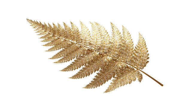 Golden fern leaf isolated on transparent background