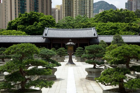 Chi Lin Nunnery - Hong Kong