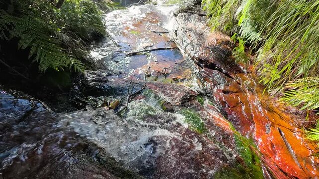 Fresh Water Stream Flowing Over Rocks in Wentworth Falls