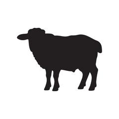 Obraz premium Cute sheep lamb silhouette isolated on white background.
