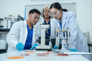 Fototapeta premium Team food safety scientists testing meat samples in laboratory for contamination and chemical residue analysis.